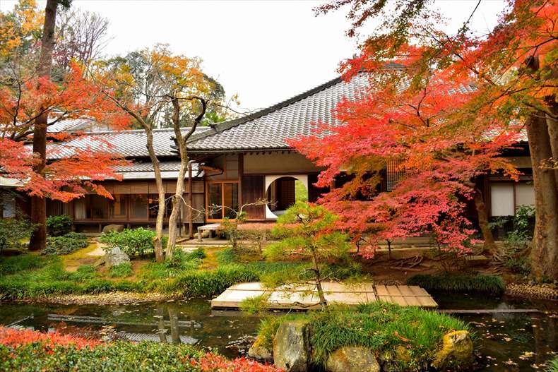 明月院後庭園(紅葉特別公開)