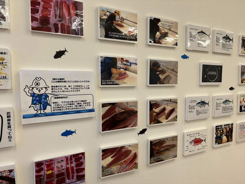 なはまぐろ市場2F　2026/03/05撮影