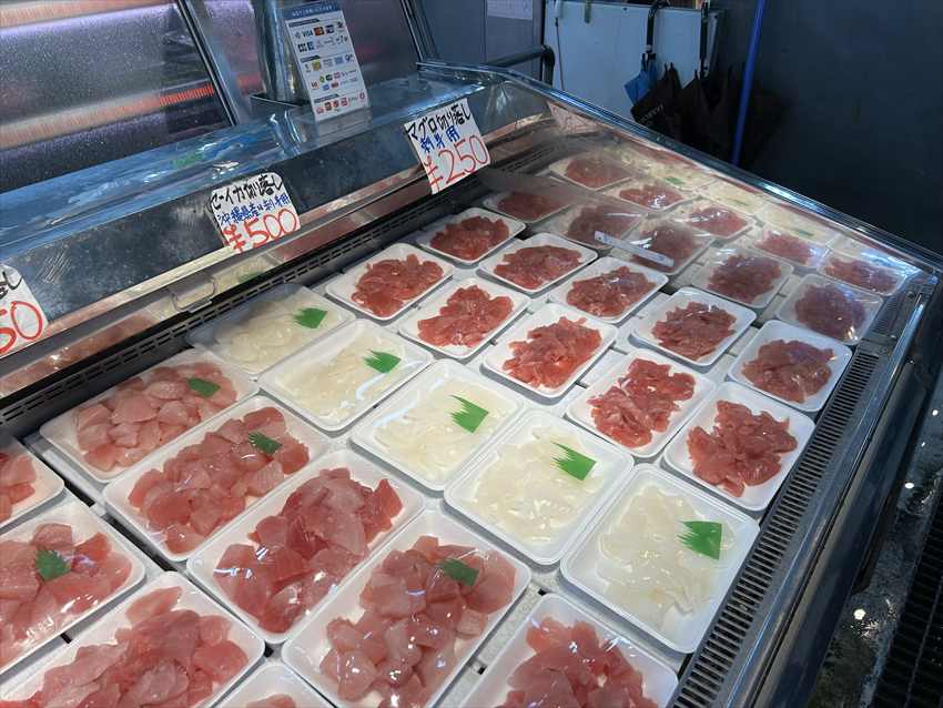 泊ゆいまち市場まぐろとイカ 2026/03/05撮影