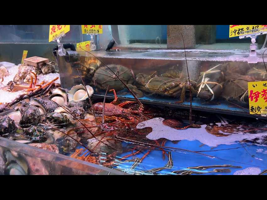 泊いゆまち サザエ　伊勢海老　カニ2026-03-05撮影