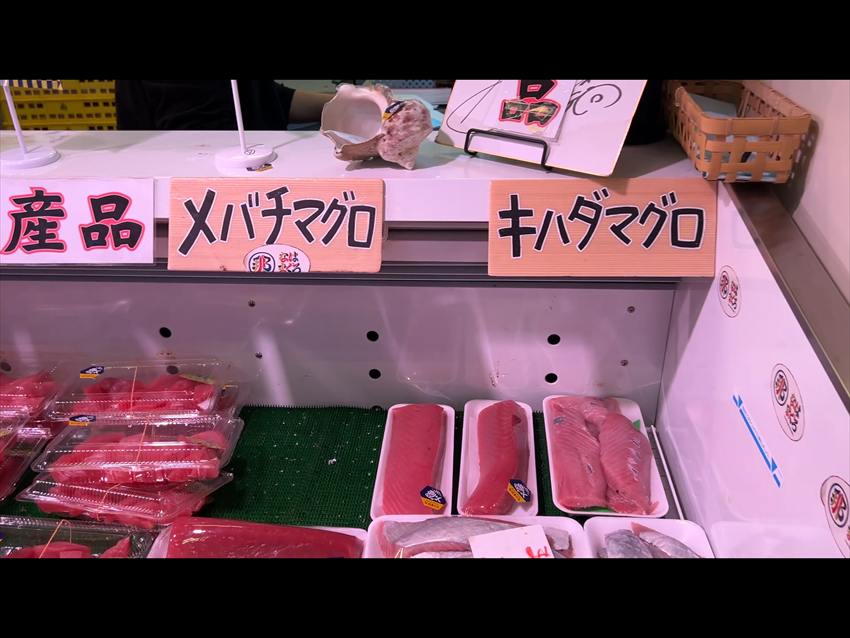 様々な種類のマグロが売られている2026-03-05撮影