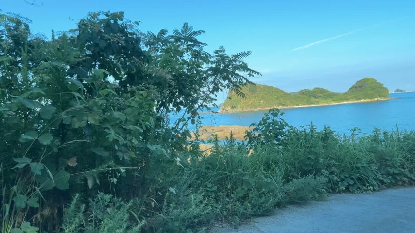 くじら浜へ向かう道沿いの草木越しに見える海と緑に覆われた島
